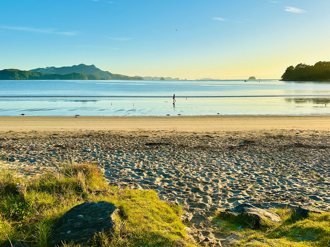 Oceanside Motel Whitianga主图