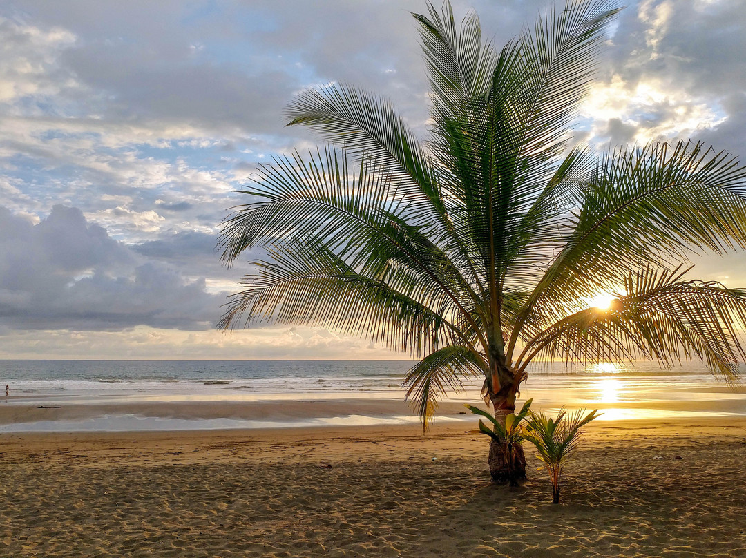 B&B Jardin de los Monos主图