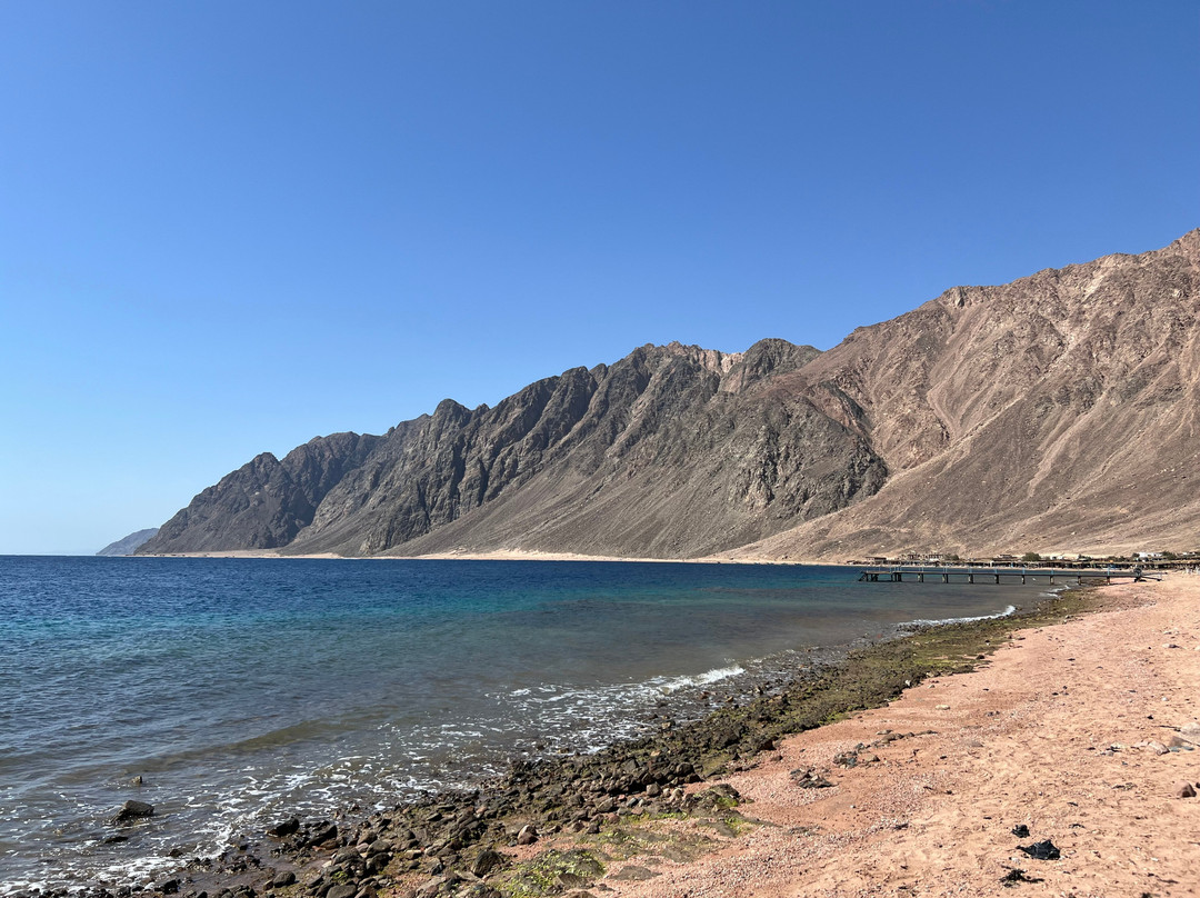 Octopus World Dahab-达哈卜必去景点