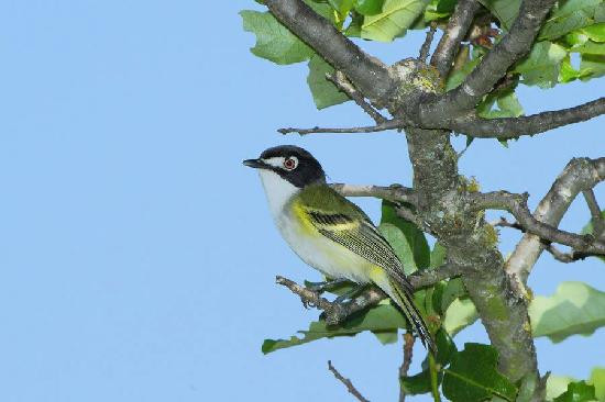 Quiet Hill Ranch - Fredericksburg主图