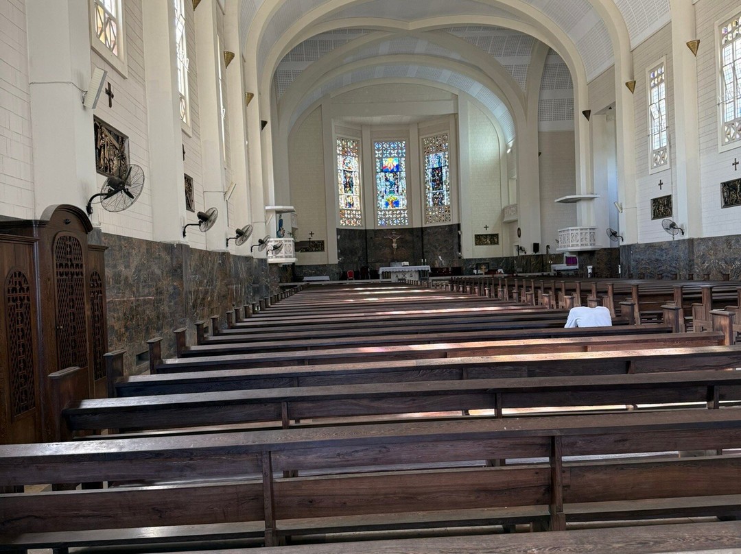 Cathedral of Our Lady of the Immaculate Conception景点图片