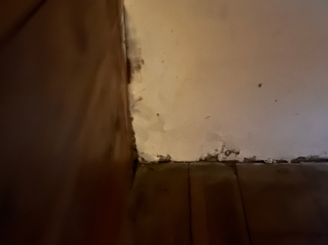 El Sabanero Eco lodge主图