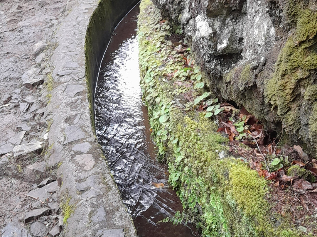 Madeira Electric Tours-沙尔必去景点