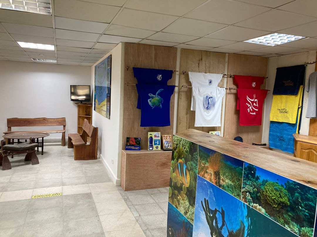 SUBEX Diving Center - Baron Palace-赫尔格达必去景点