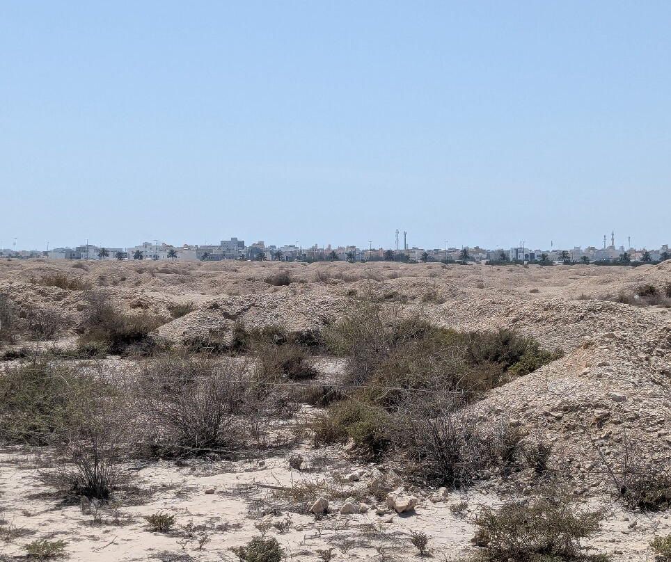 Dilmun Burial Mounds-麦纳麦必去景点