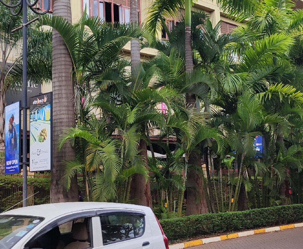 Westgate Shopping Mall-内罗毕必去景点