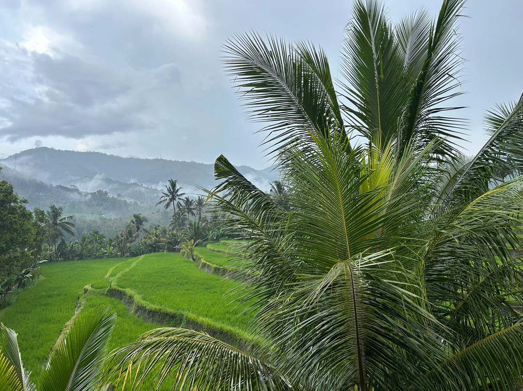 Lesong Hotel and Restaurant主图