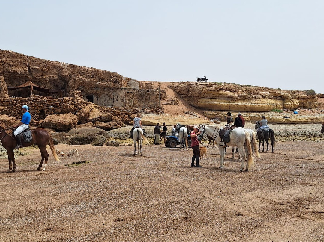 Cheval Essaouira-索维拉必去景点