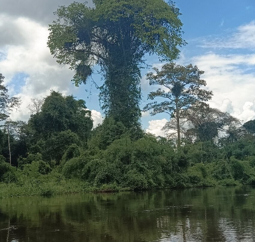 Wonder Amazon景点图片