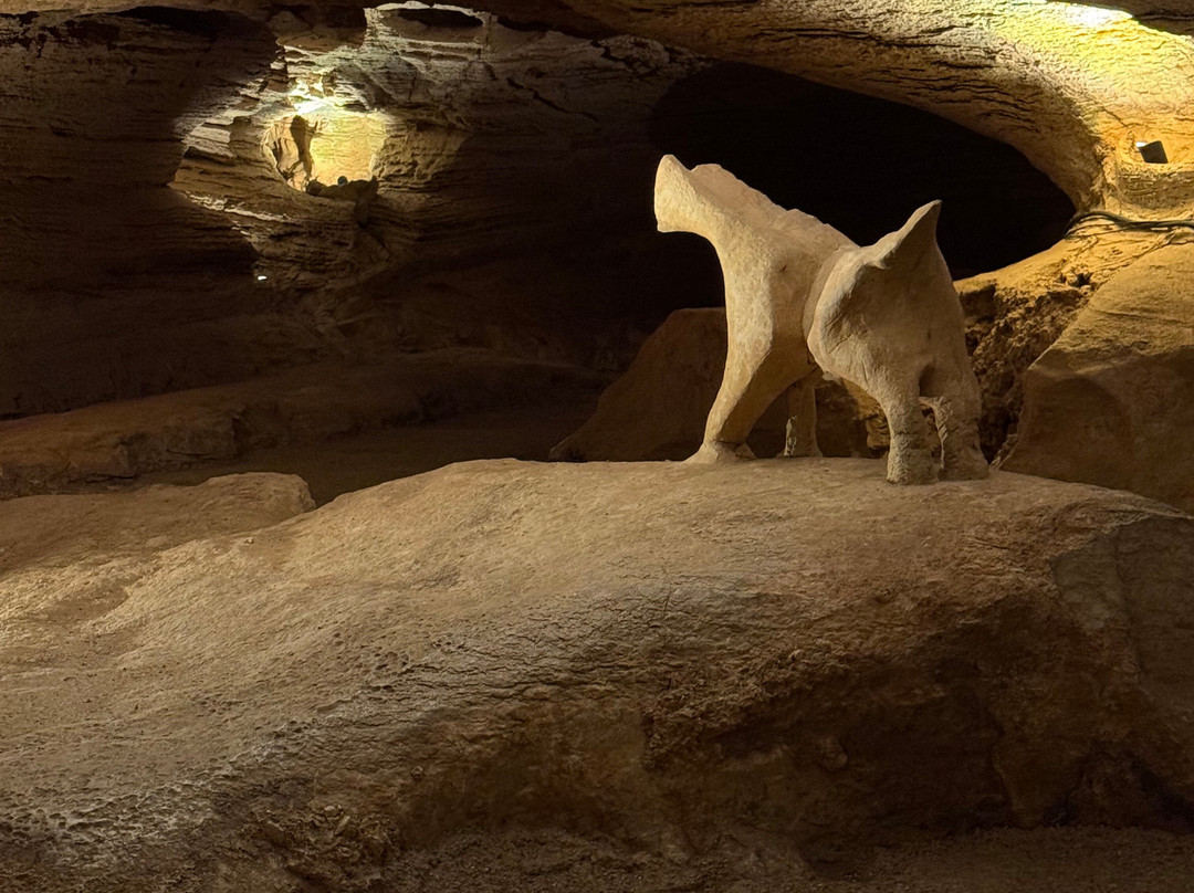Longhorn Cavern State Park-Burnet必去景点