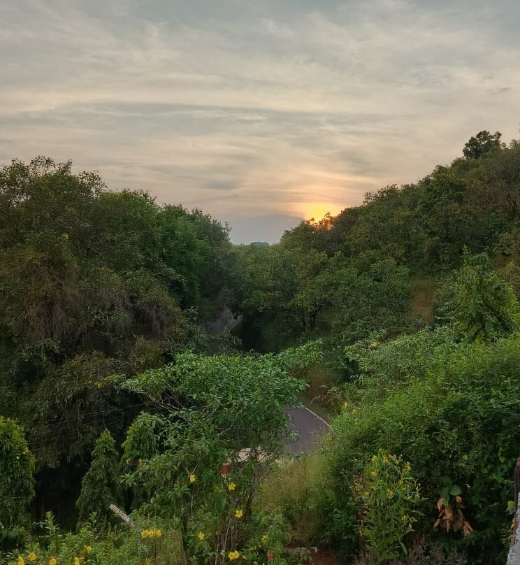 Sterling Padam Pench主图