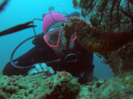 Bali Fun Diving-登巴萨必去景点