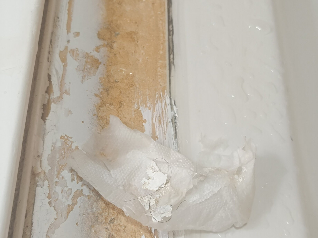 Hotel Numero Uno主图