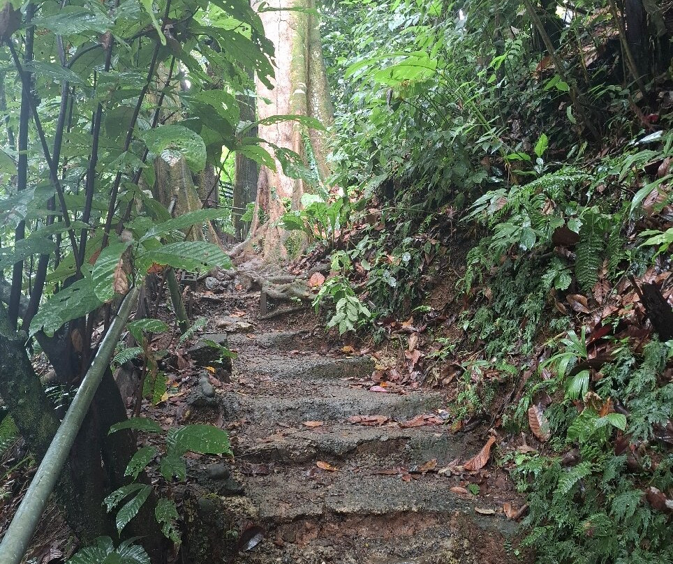 Catarata Uvita景点图片