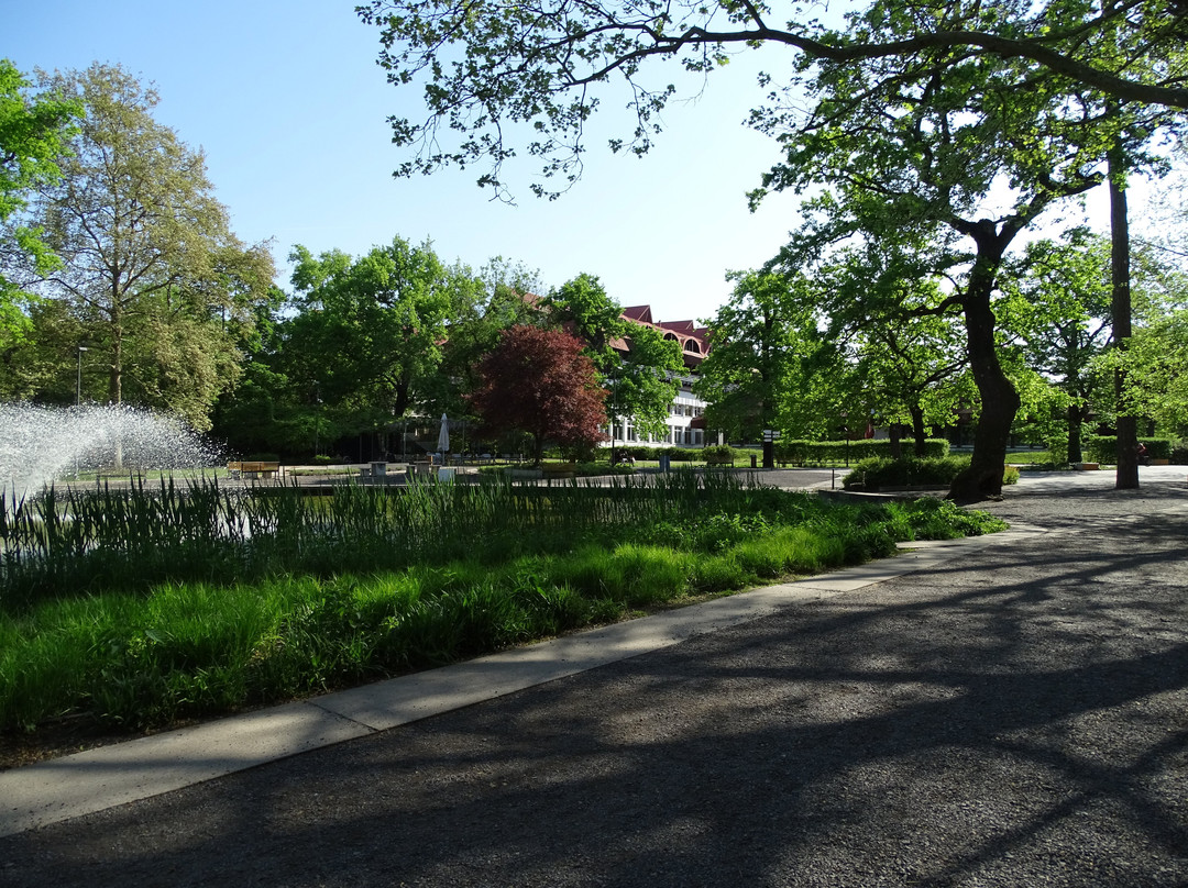 Nagyerdei Park景点图片