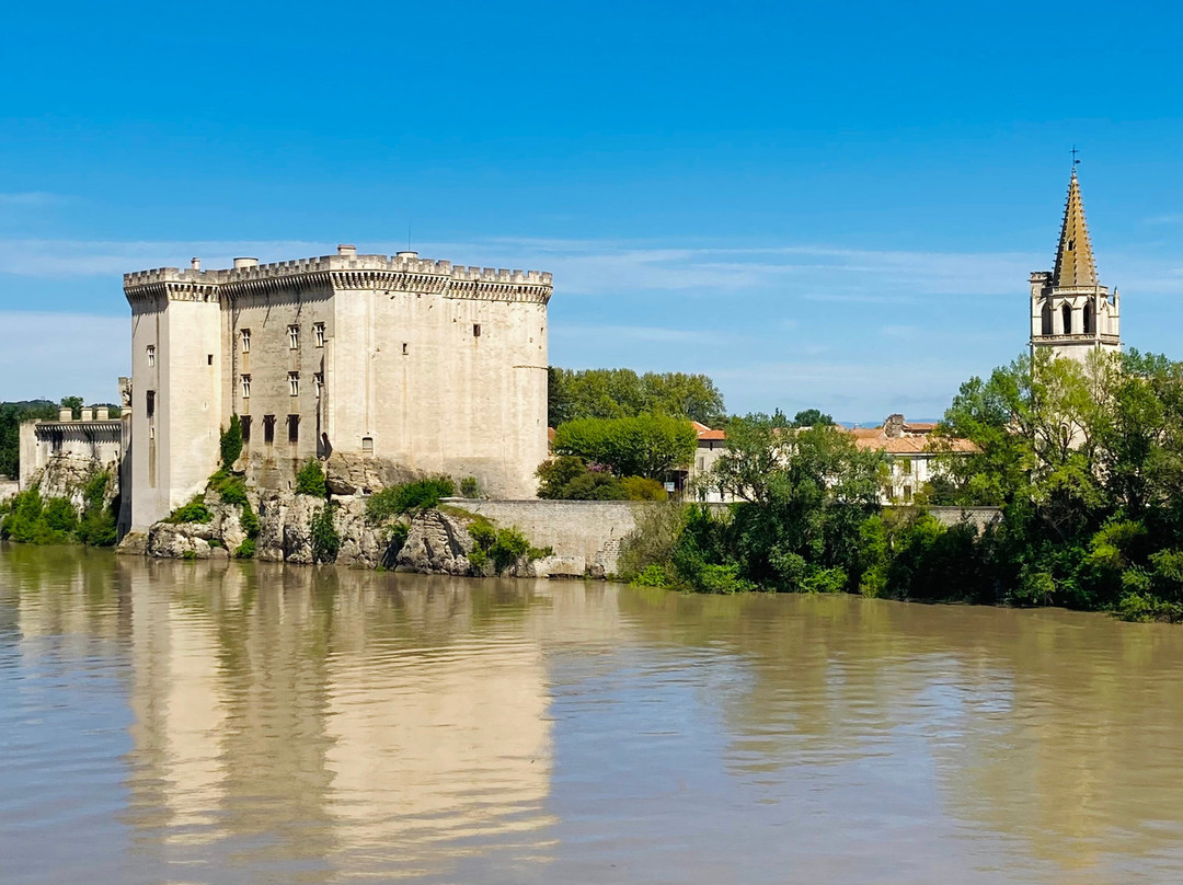 Chateau de Tarascon景点图片