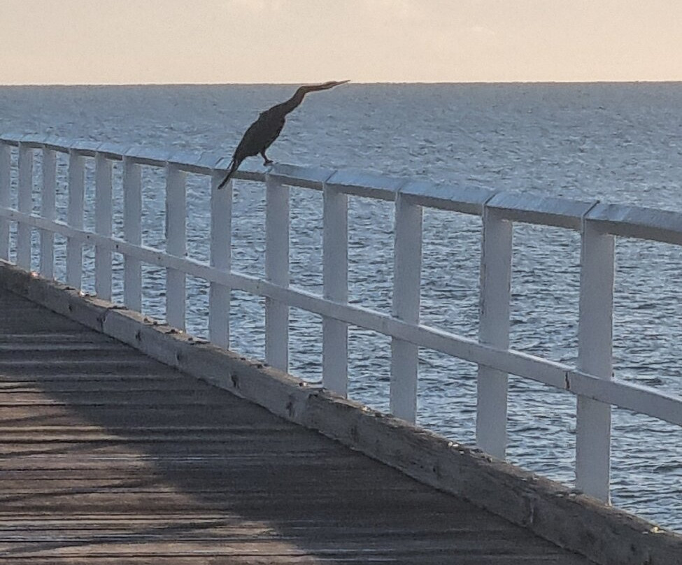 Urangan Pier景点图片