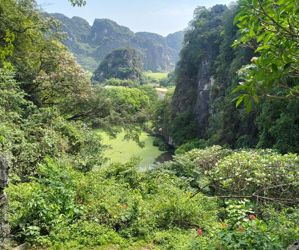 Bich Dong Pagoda景点图片