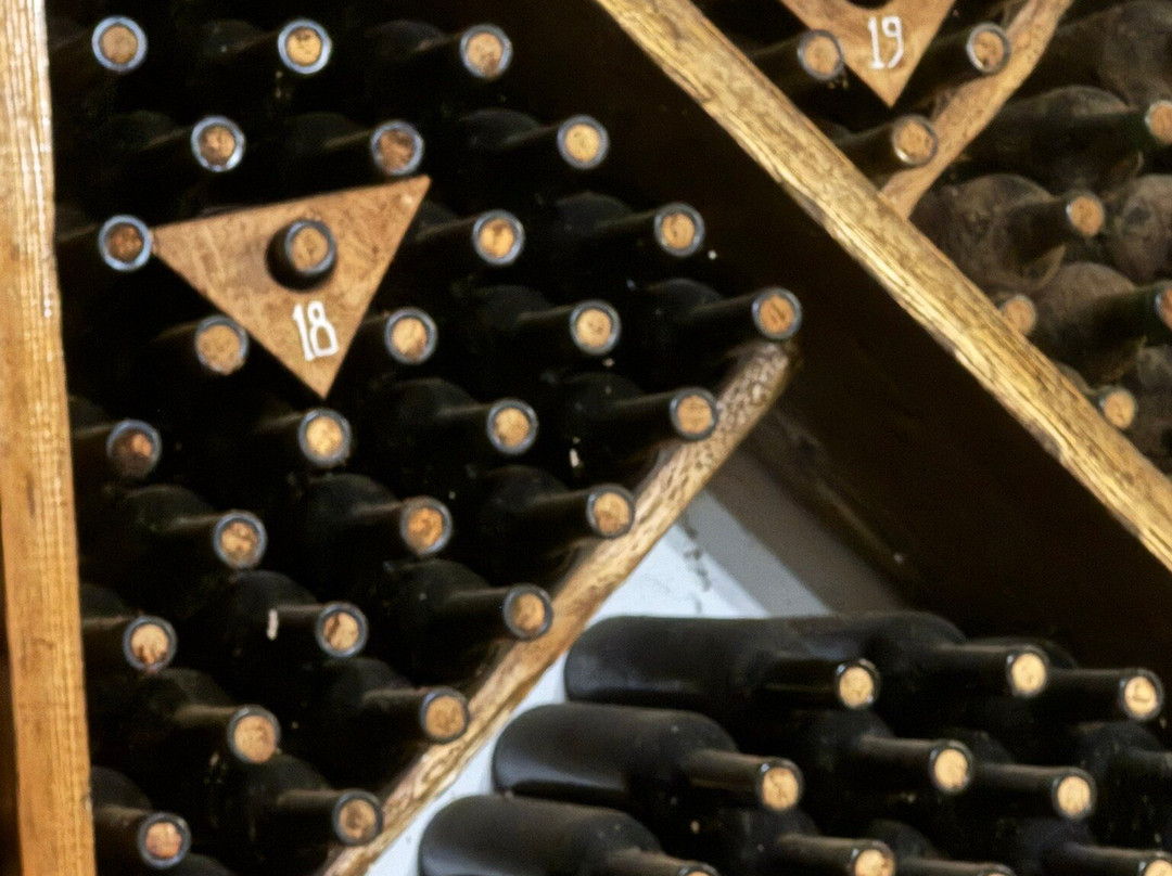 Ijevan Wine-Brandy Factory-Ijevan必去景点