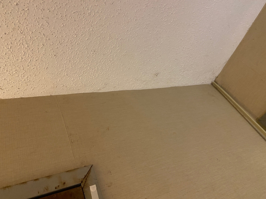 Super 8 by Wyndham Schenectady/Albany Area主图