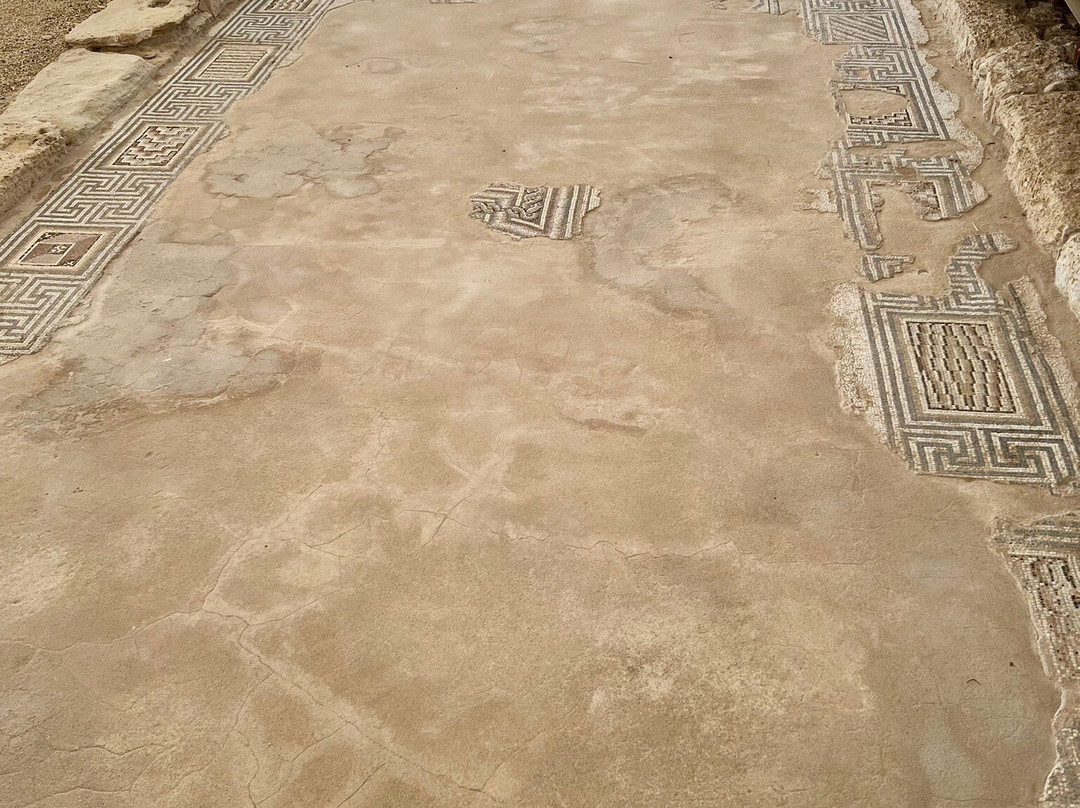 Local Archaeological Kourion Museum-Episkopi必去景点