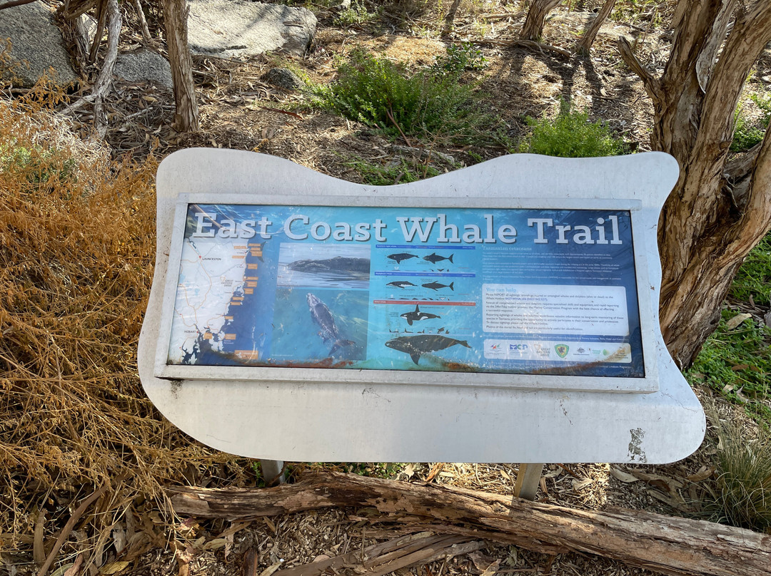 Bicheno Foreshore Footway-比奇诺必去景点