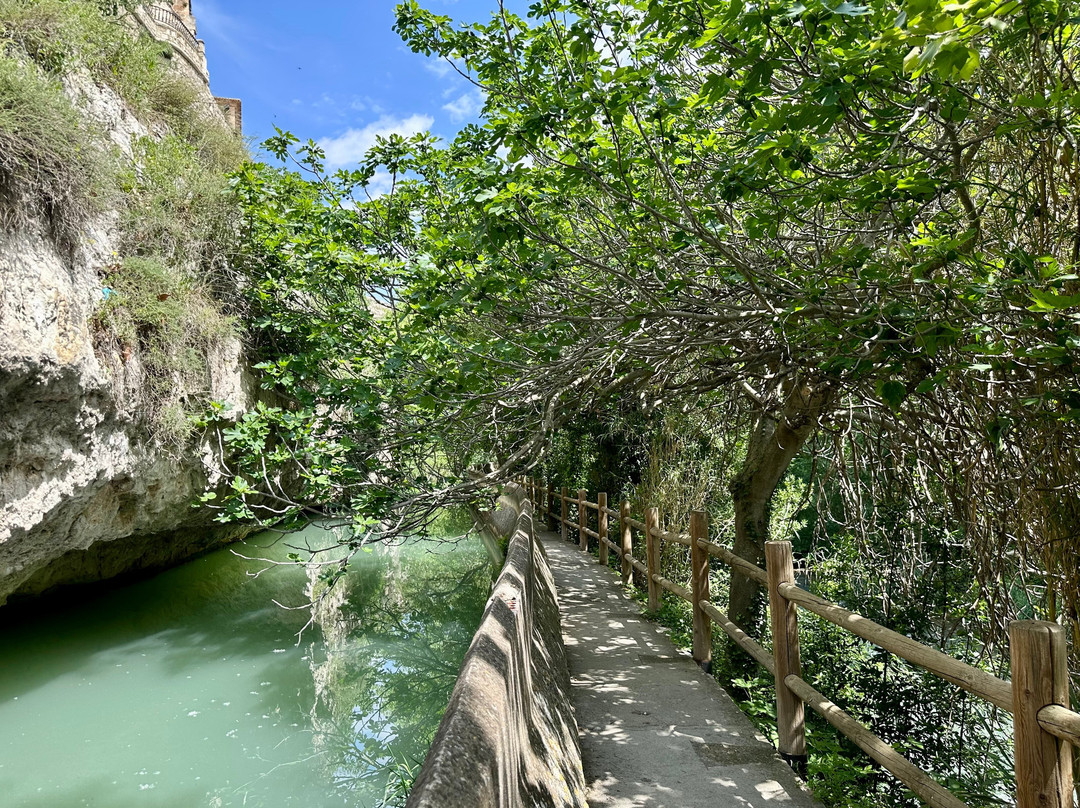 David's Coachtrips-托雷维耶哈必去景点