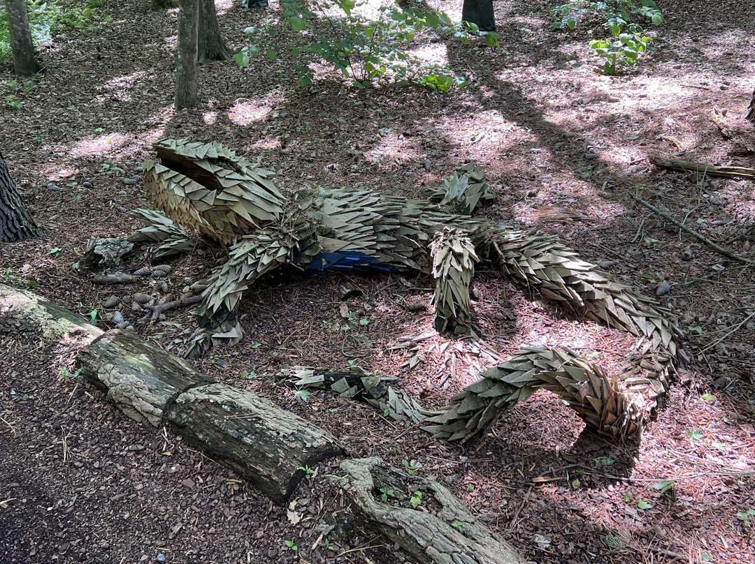 Delaware Botanic Gardens-Dagsboro必去景点