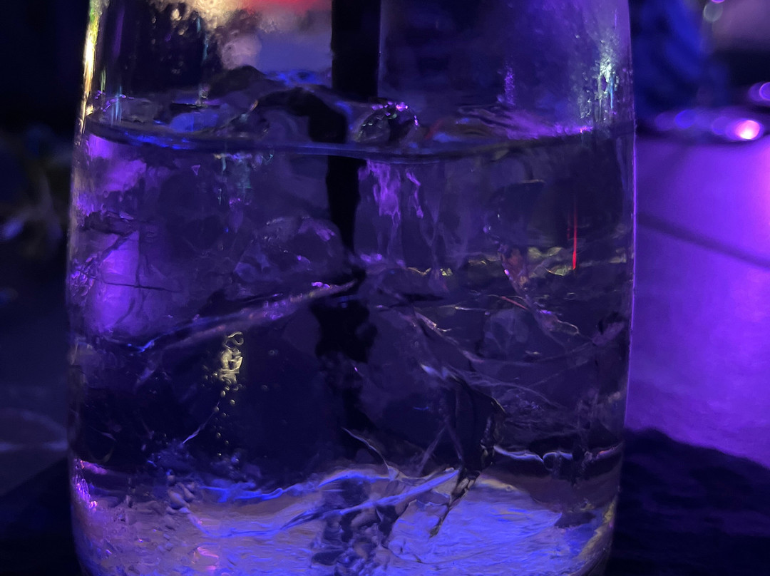 Mangala by Wow Cocktails Bar-夫罗勒必去景点