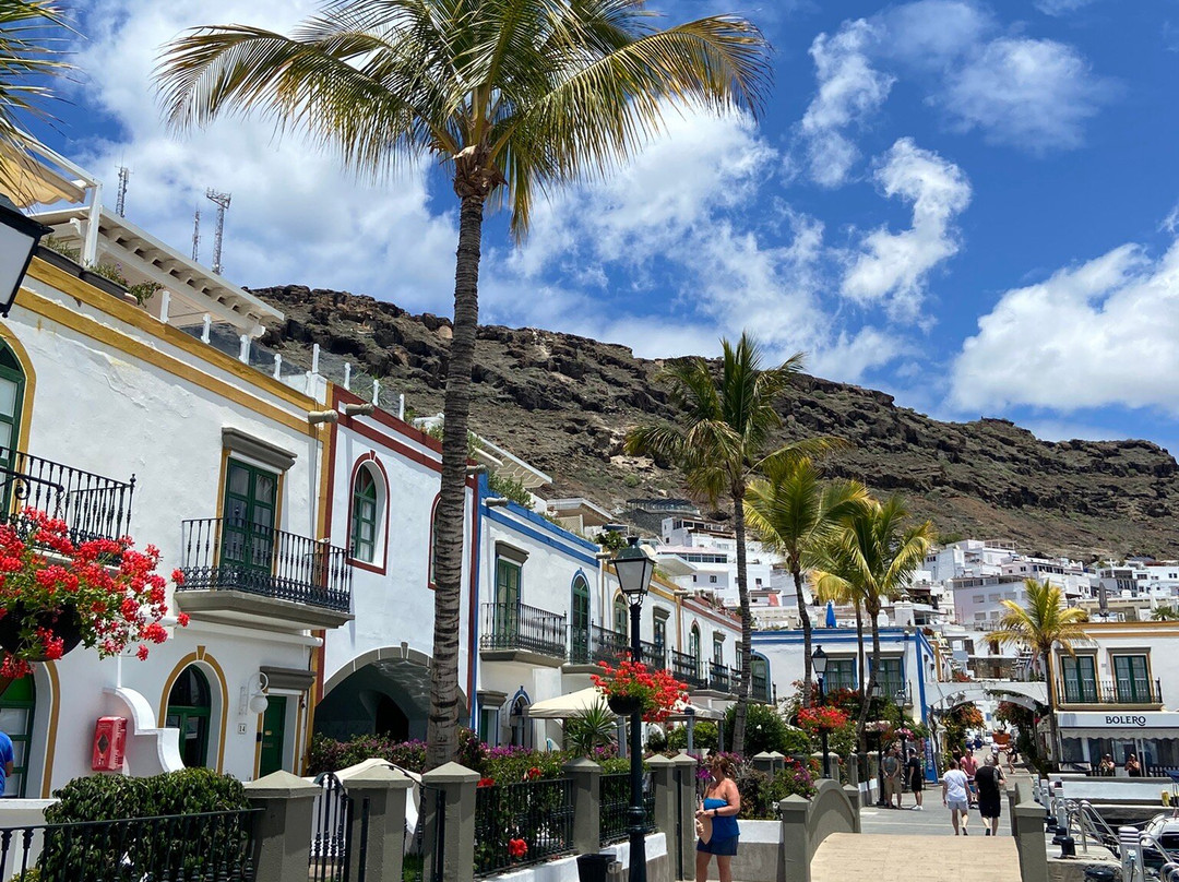 Puerto De Mogán景点图片