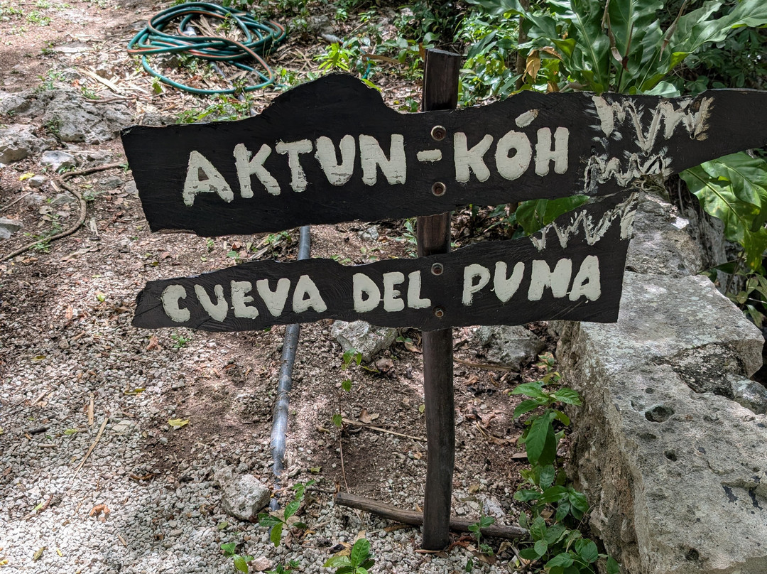 Aventuras Mayas-普拉亚德尔卡曼必去景点