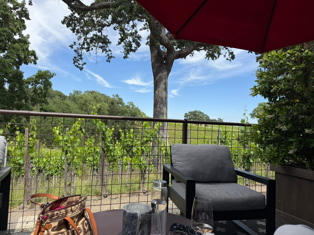 Austin Hope & Treana Tasting Cellar景点图片