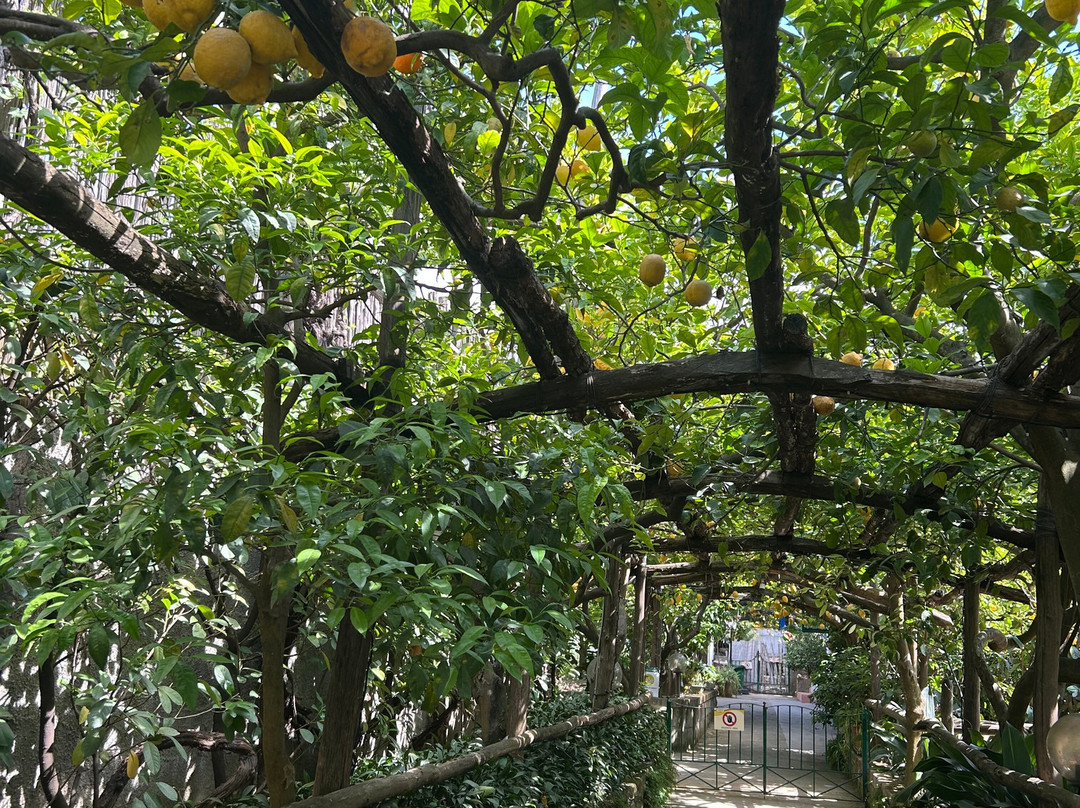 I Giardini di Cataldo-索伦托必去景点