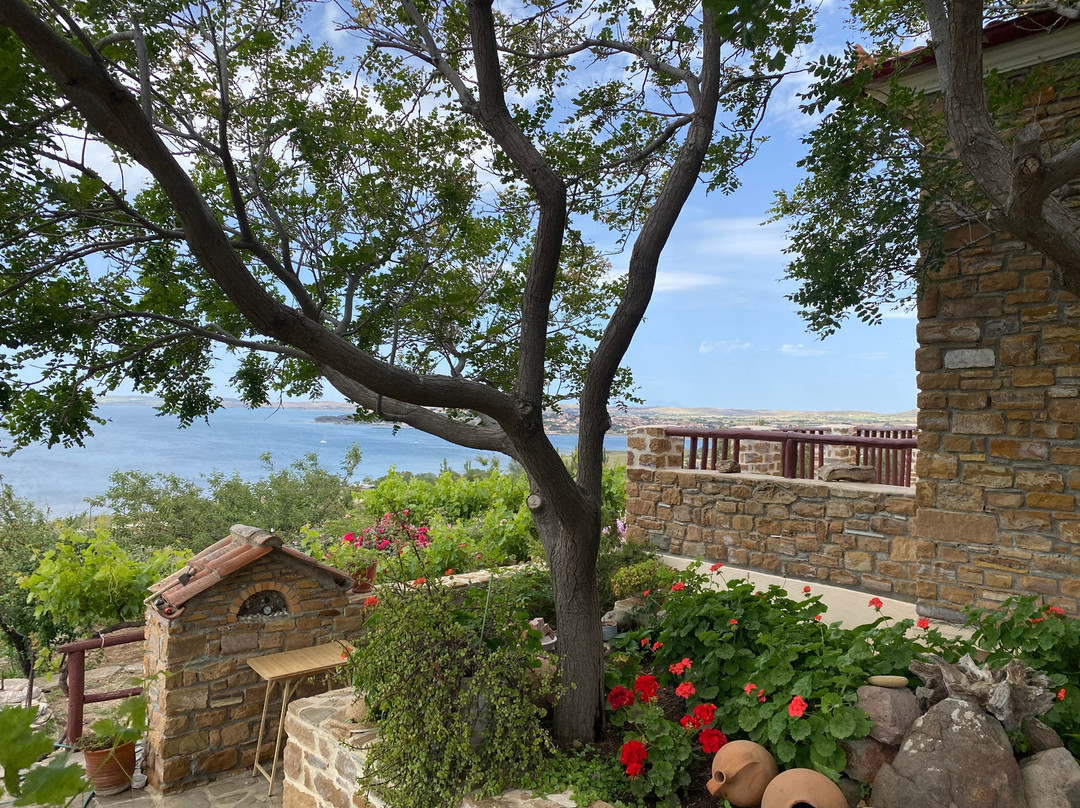 Hotel Ethaleia主图