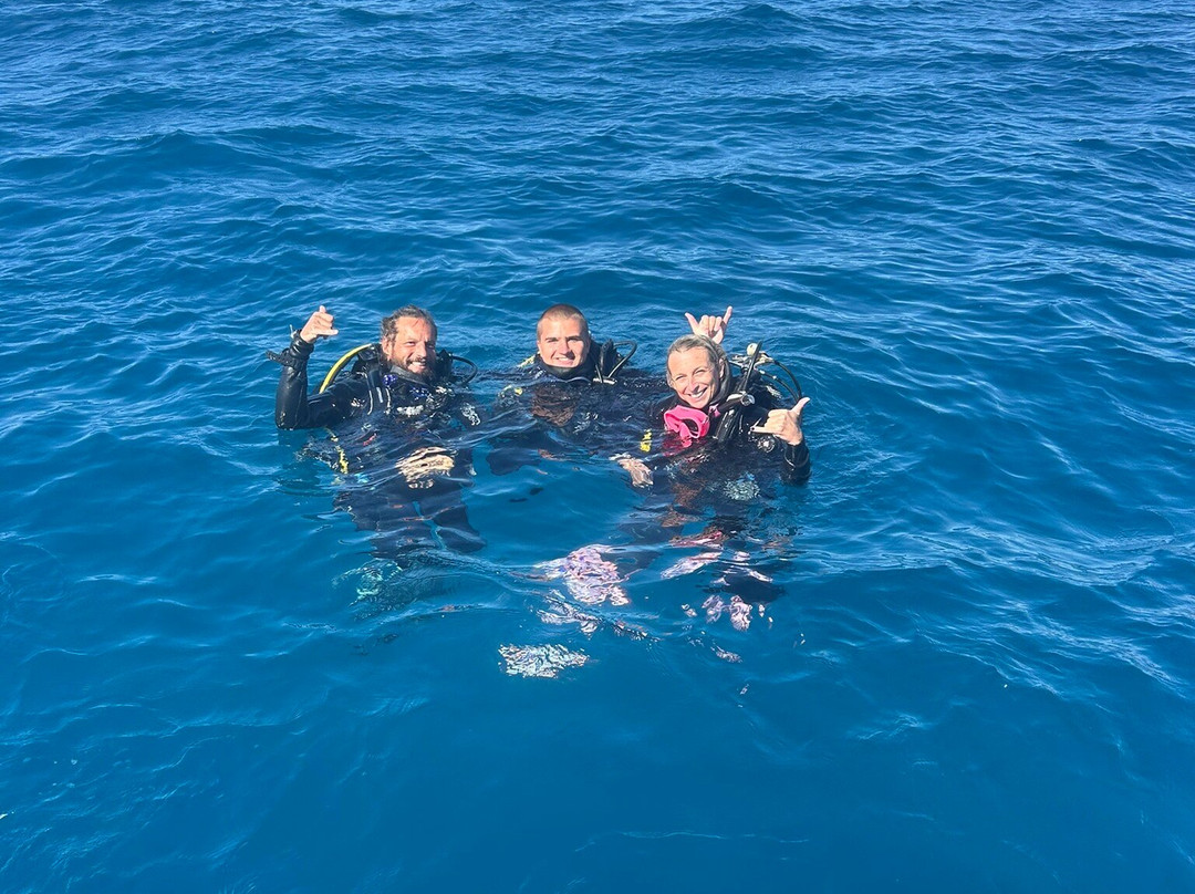 Blue Water Diving-波多黎各必去景点