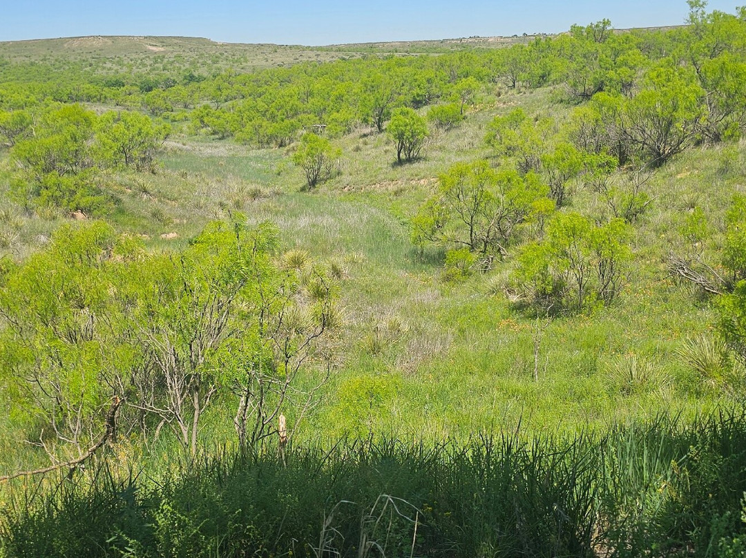 Wildcat Bluff Discovery Center-阿马里洛必去景点