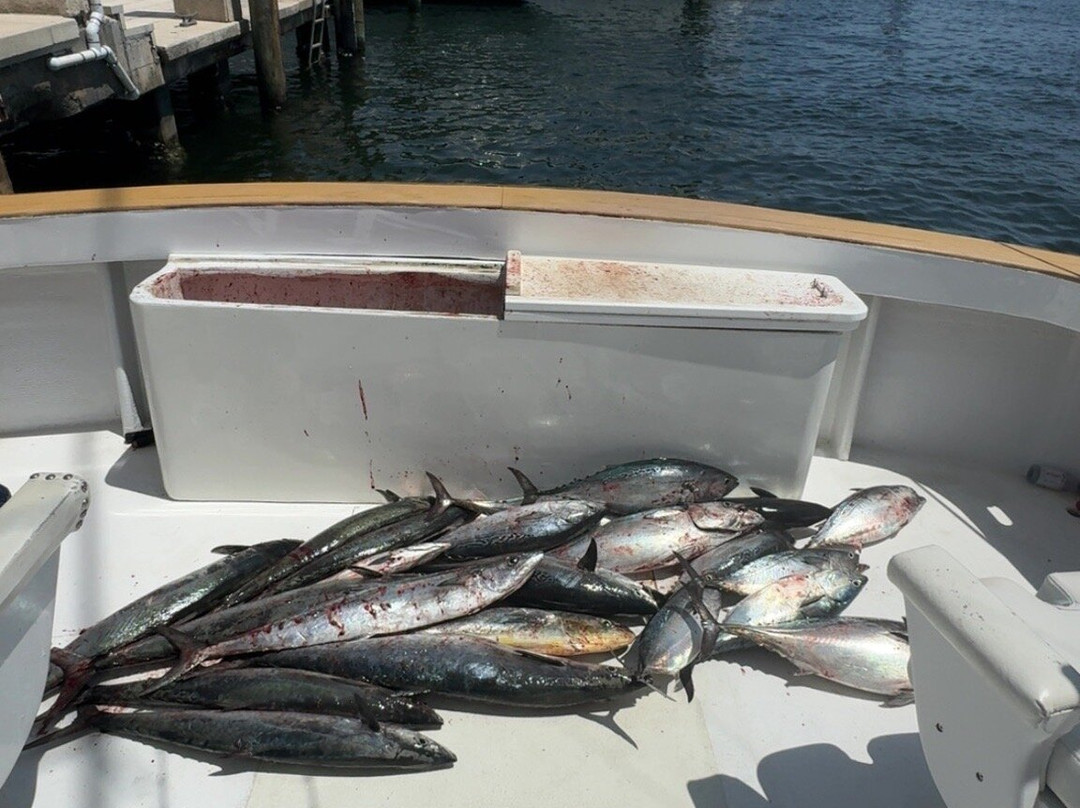 Rebound Sportfishing Charters-庞帕诺比奇必去景点
