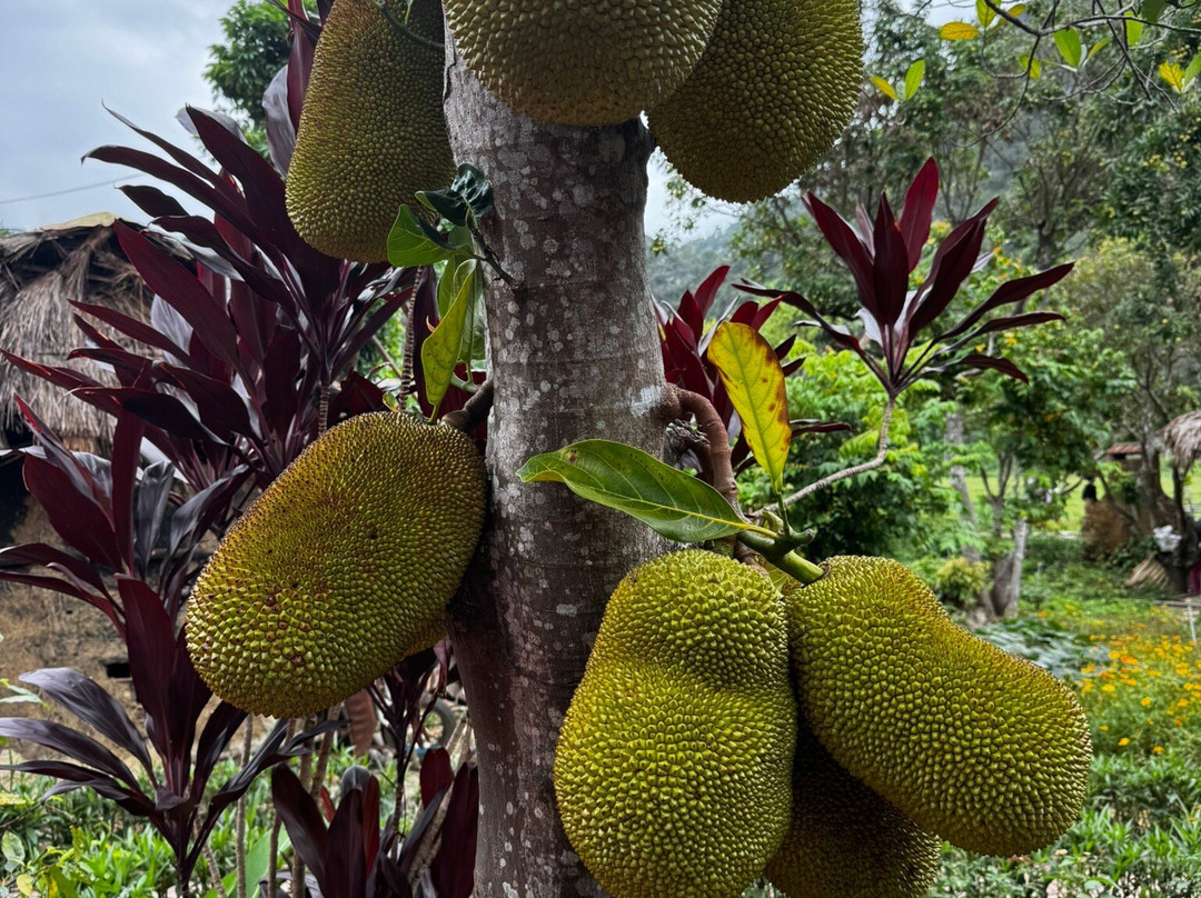 Halong Bay Cruises-下龙湾必去景点