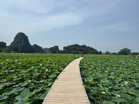 Viet Nam Easy Go Travel-宁平必去景点