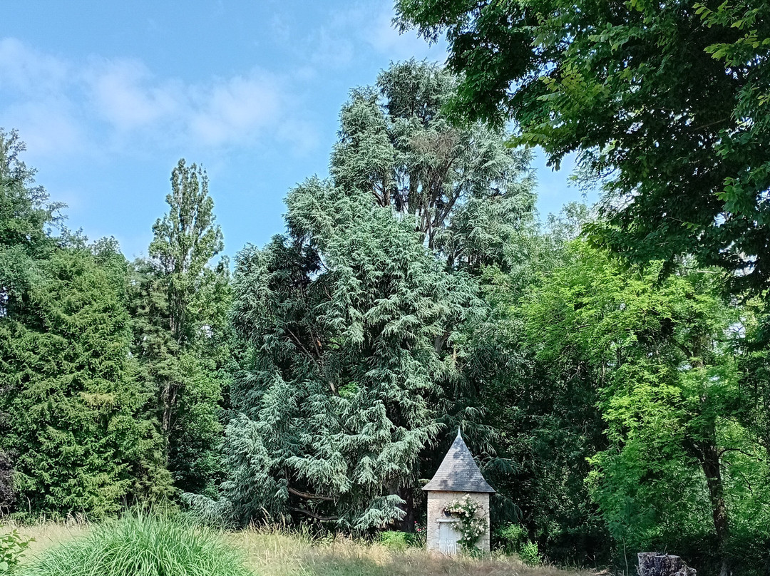 Chateau de Troussay景点图片