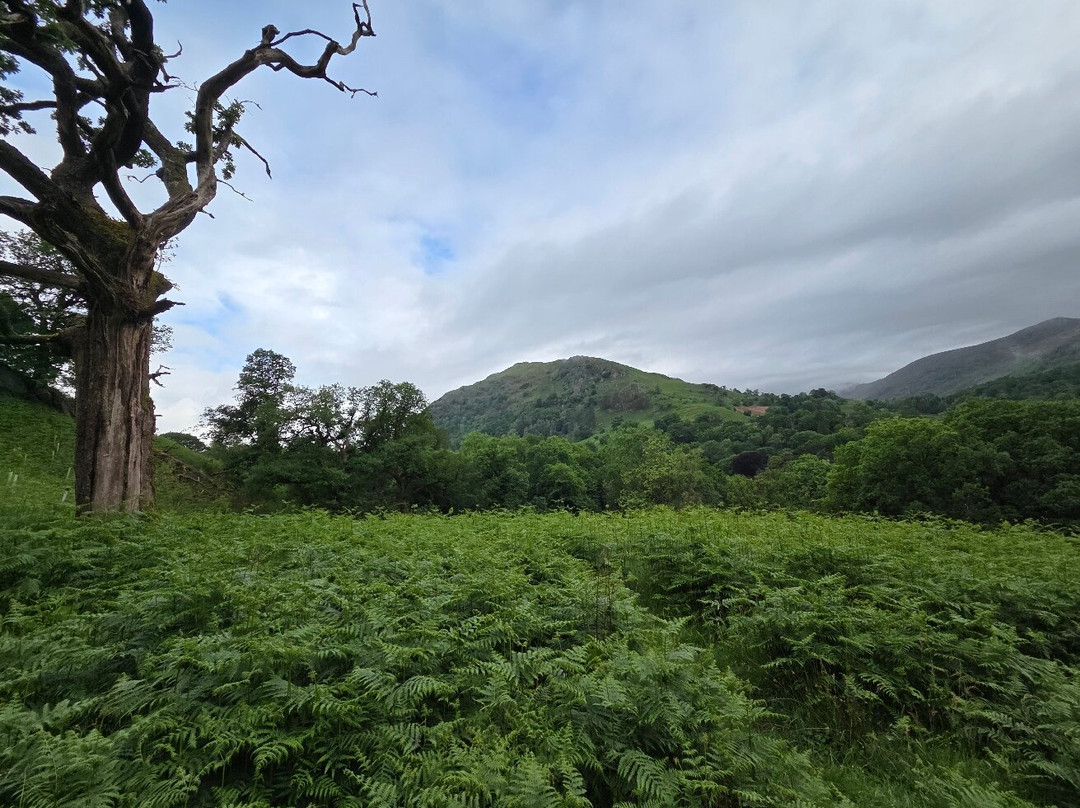 Rydal Cave景点图片