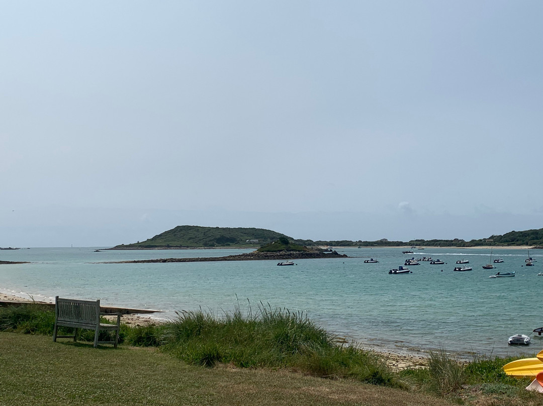 Seahorse Boat Trips-圣艾维斯必去景点