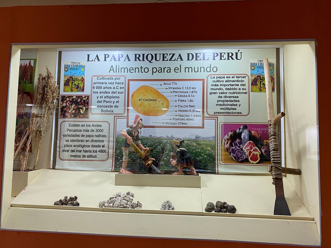 Museo Litico Pukara-Pucara必去景点