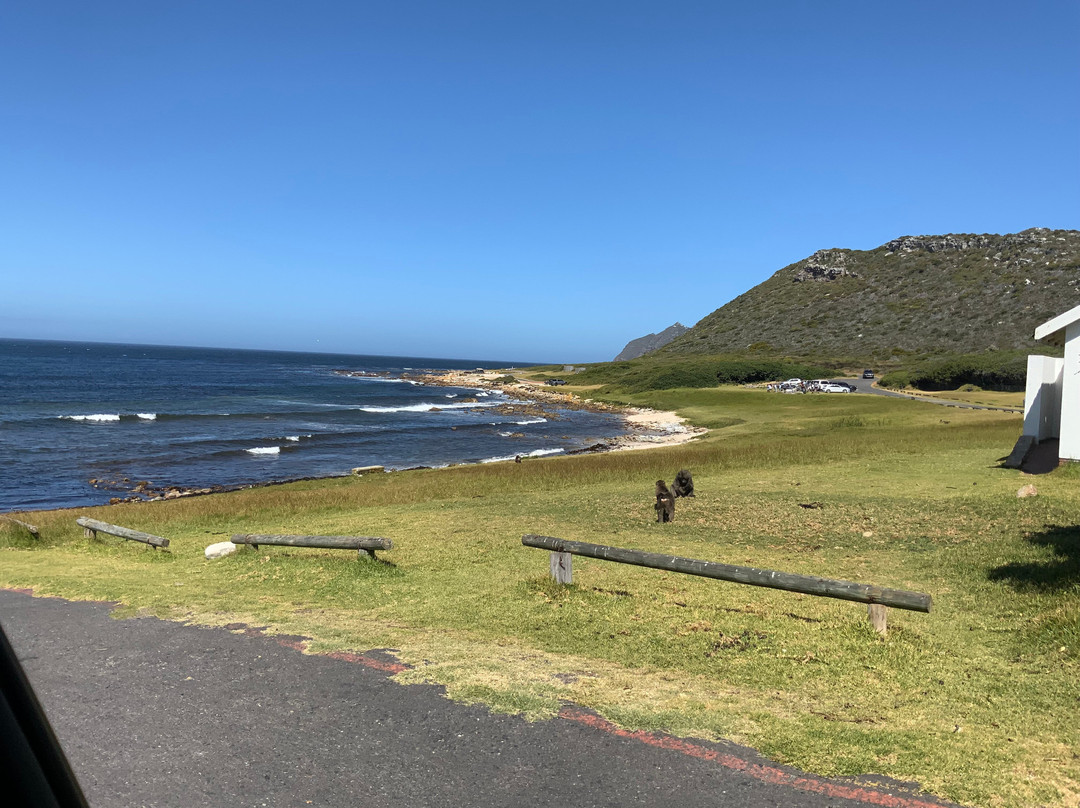 Buffels Bay Beach-Cape Point必去景点