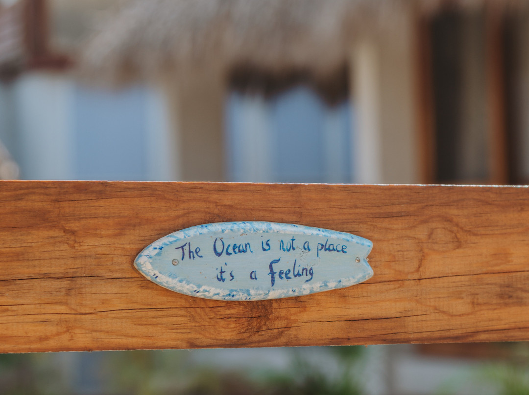 Gato Surf Houses
