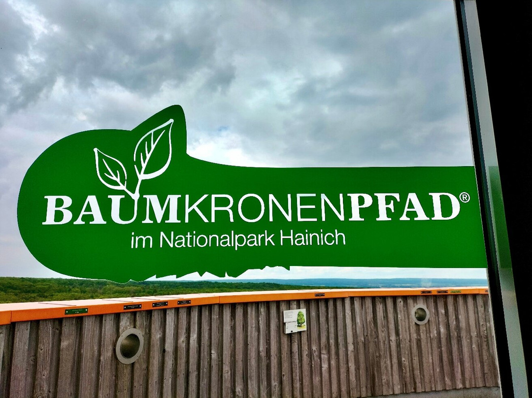 Baumkronenpfad Hainich-Schonstedt必去景点