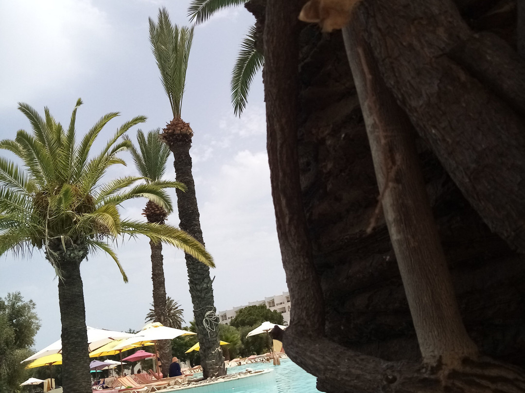 AquaSplash Thalassa Sousse-苏塞必去景点