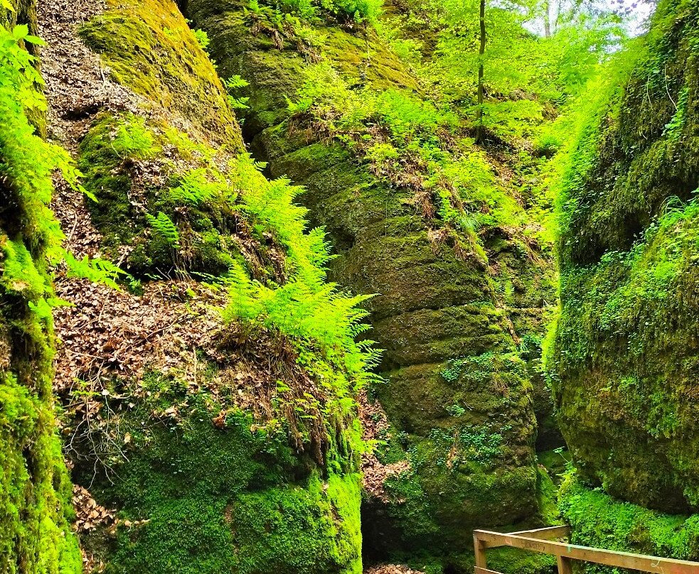 Drachenschlucht / Landgrafenschlucht-艾森纳赫必去景点