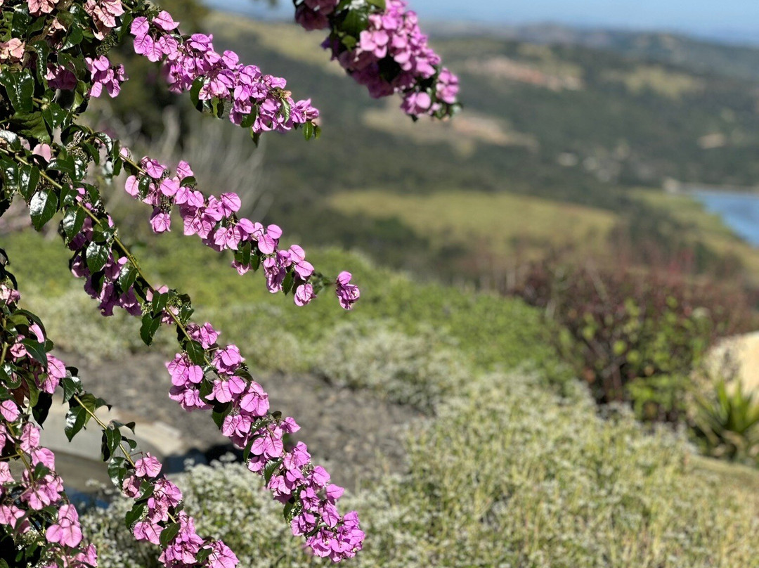Vinícola Merum-Espirito Santo Do Pinhal必去景点
