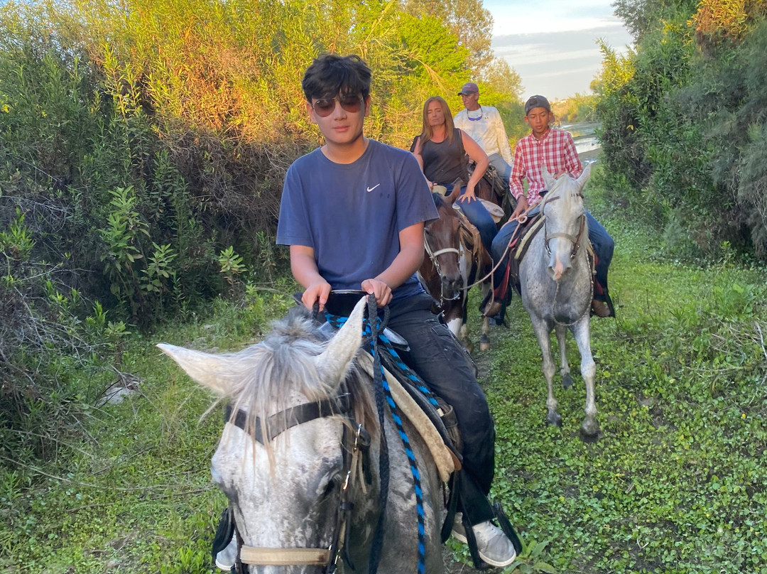 Rancho Animas-Animas Bajas必去景点